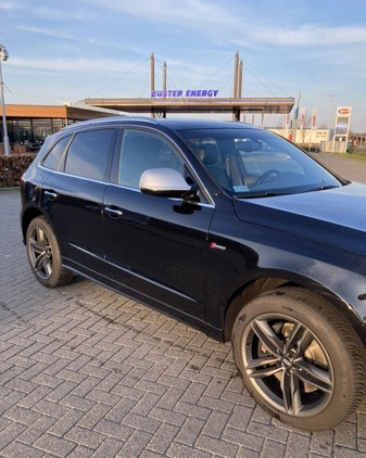 Audi SQ5 cena 93900 przebieg: 239643, rok produkcji 2015 z Kolbuszowa małe 379